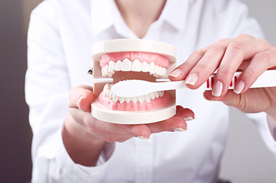 A person s hand holding a set of dentures with an open mouth displaying teeth next to a model of a human mouth.